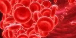 erythrocyte sedimentation rate esr test