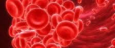 erythrocyte sedimentation rate esr test