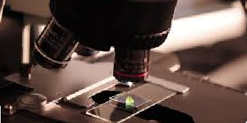fecal occult blood fob test
